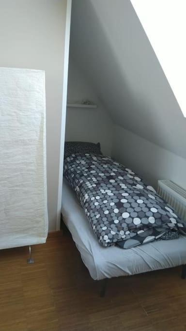 Appartement Loft Klein & Suss Im Zentrum Von Munster (North Rhine-Westphalia)